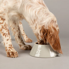 Classic 2 Piece Long Eared Dog Food & Water Bowl - Light Grey