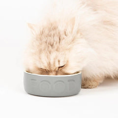 Classic 2 Piece Dog Food & Water Bowl Set - Grey