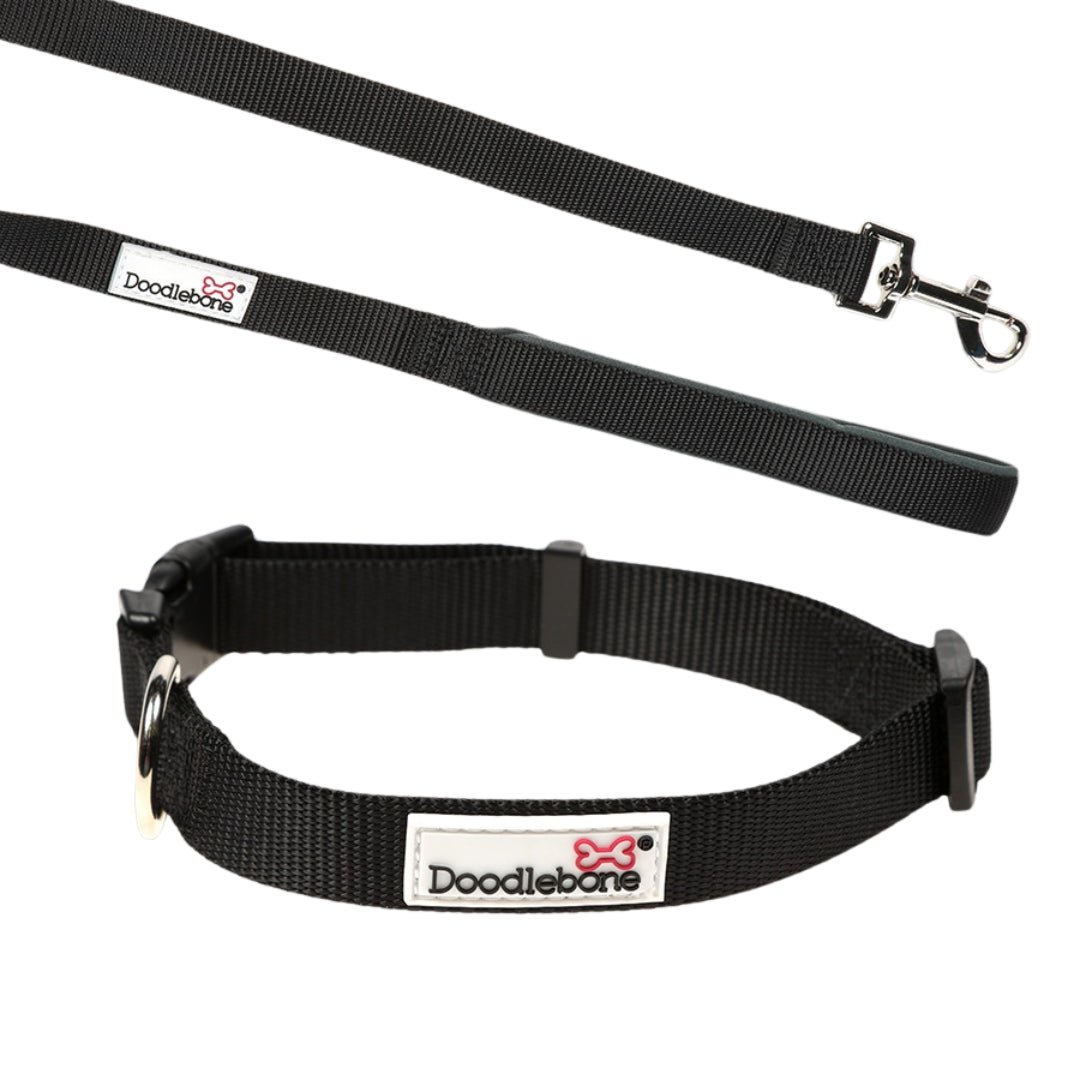 Coal Black Puppy Collar & Lead Set by Doodlebone
