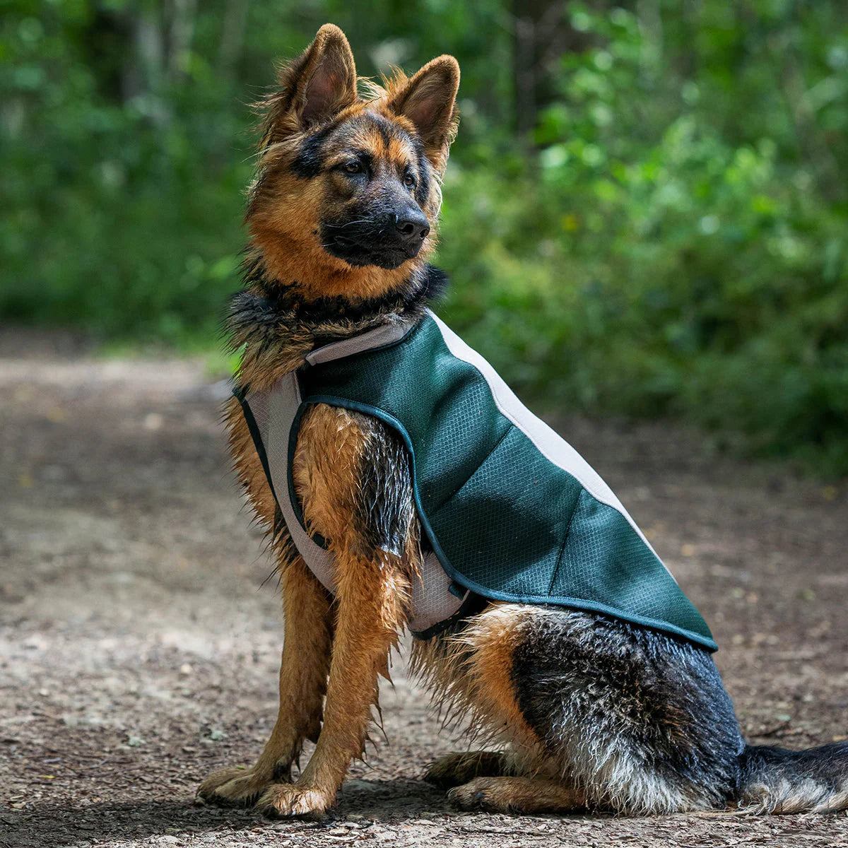 Dog Cooling Coat by Ruff And Tumble