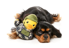 Commanduck Dog Toy by FuzzYard