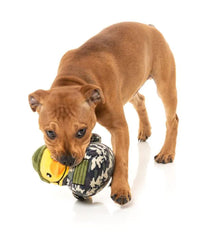 Commanduck Dog Toy by FuzzYard