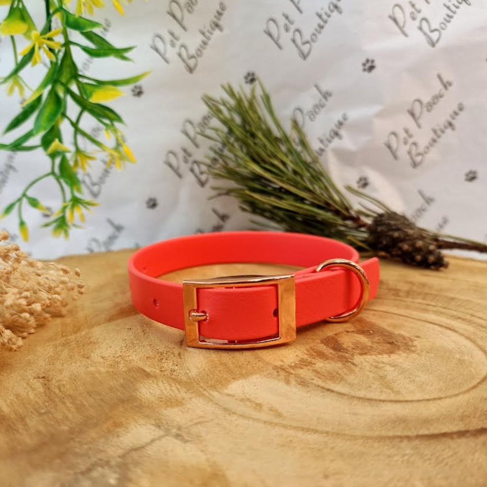 Coral Biothane Vegan Dog Collar