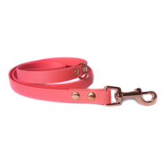 Coral Biothane Vegan Dog Lead