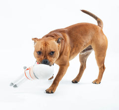 Cosmo Mushroom Fun Guy Dog Toy by FuzzYard