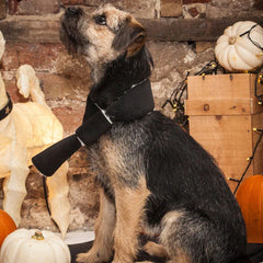 Creature Clothes Doggy Scarf in Black Velvet and Sherpa