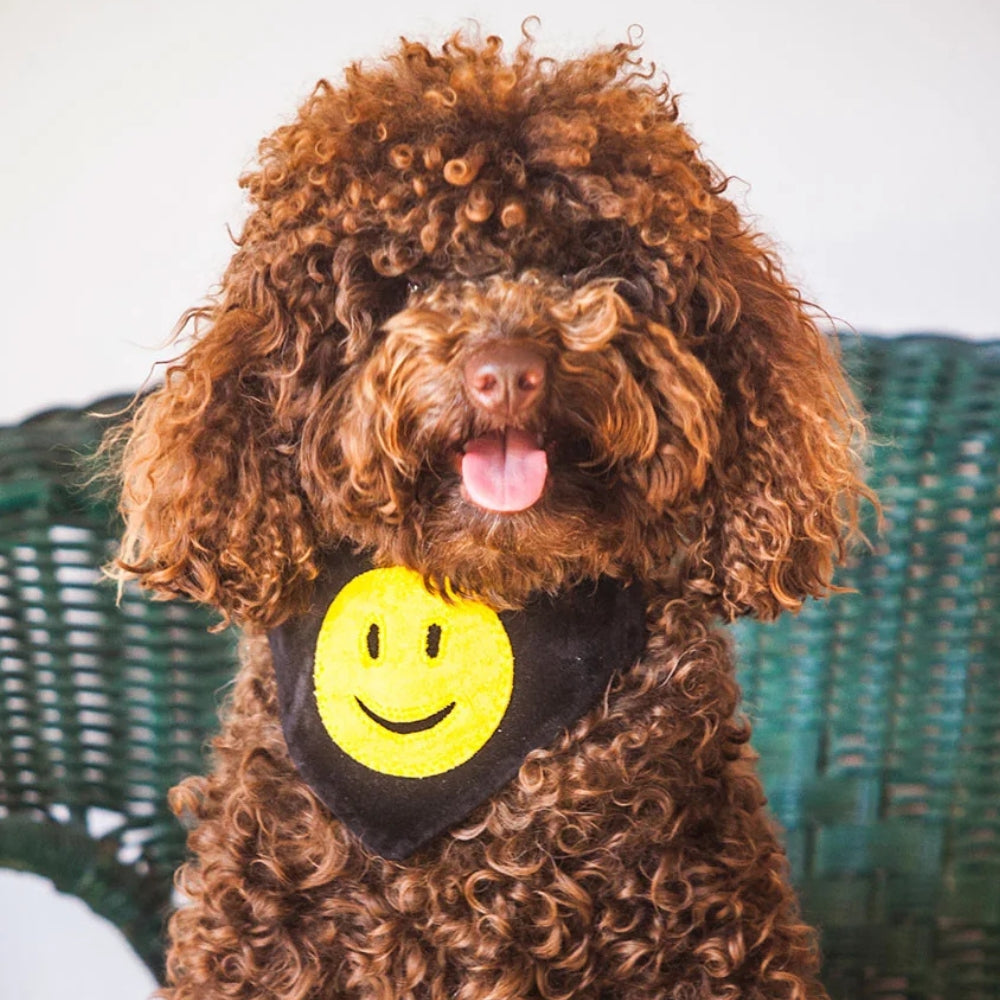 Creature Clothes Slip On Bandana Smiley Face