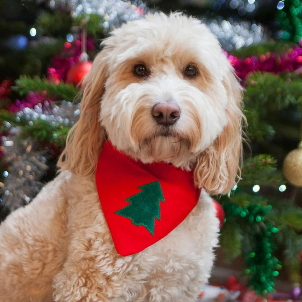 Creature Clothes Slip On Bandana Christmas Tree