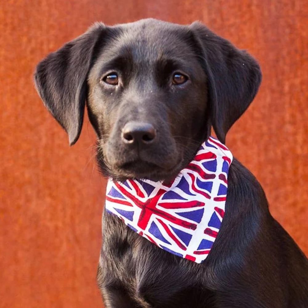 Creature Clothes Slip On Bandana Union Jack