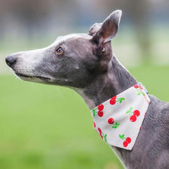Creature Clothes Slip On Dog Bandana Cherries