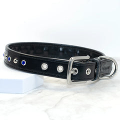 Domed Delight Dog Collar by Petiquette