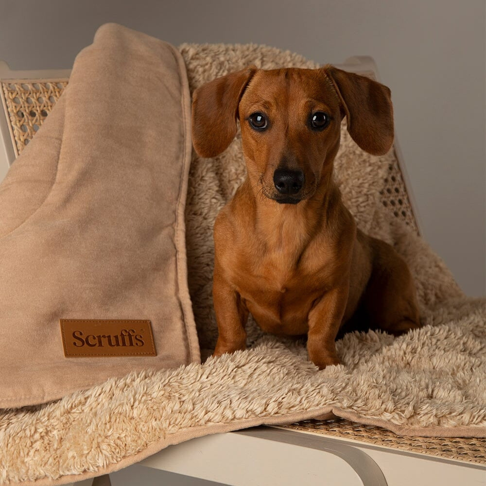 Desert Sand Snuggle Pet Blanket