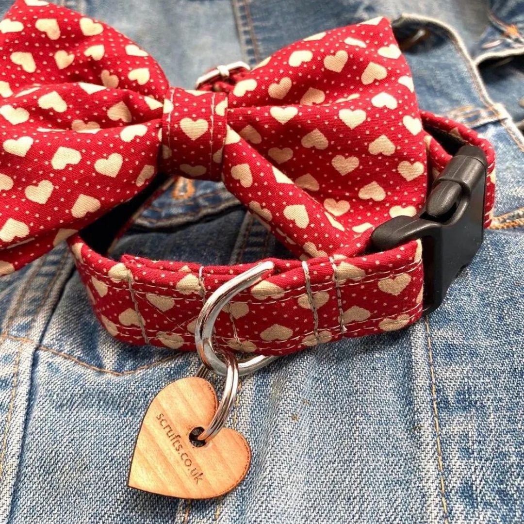 Dickie In Red Valentine Bow Tie Designer Dog Collar