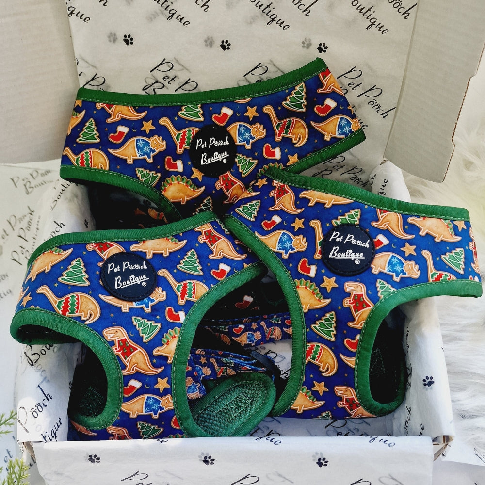 Dino Rawr Festive Biscuits Dog Harness