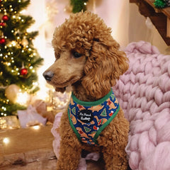 Dino Rawr Festive Biscuits Dog Harness