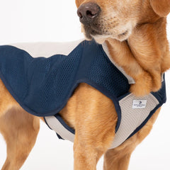 Dog Cooling Coat by Ruff And Tumble