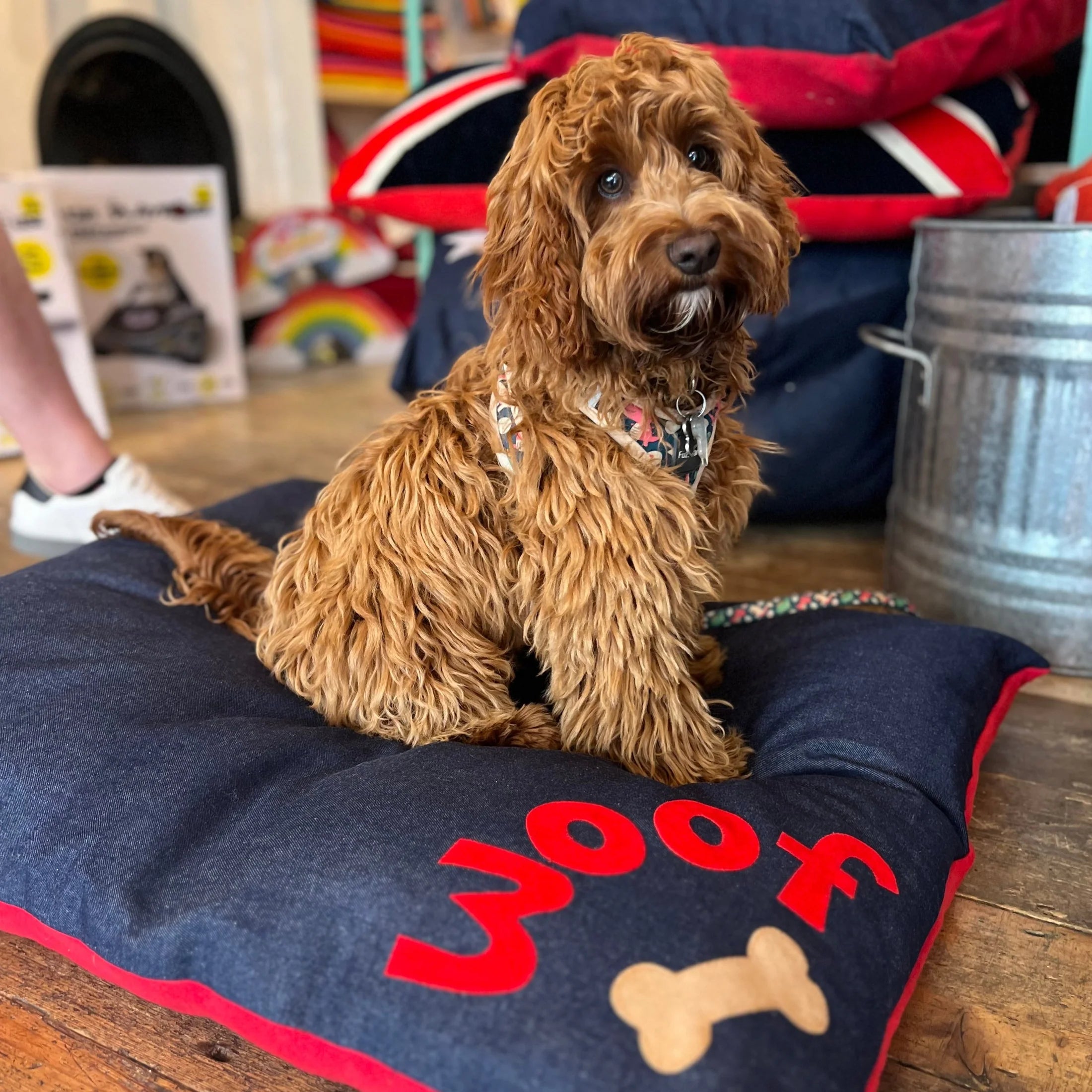 Red On Denim Woof N Bone Dog Bed