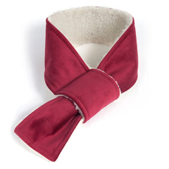 Doggy Scarf in Cranberry Velvet and Sherpa