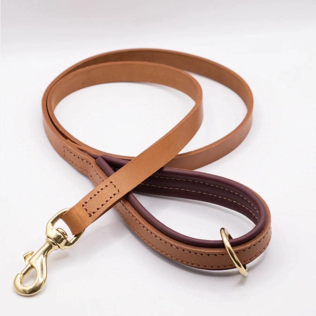 Dogs & Horses Luxury Padded Leather Dog Lead Merlot
