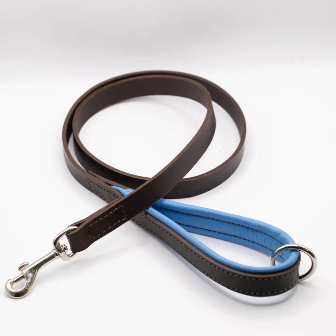 Dogs & Horses Luxury Padded Leather Dog Leads Blue