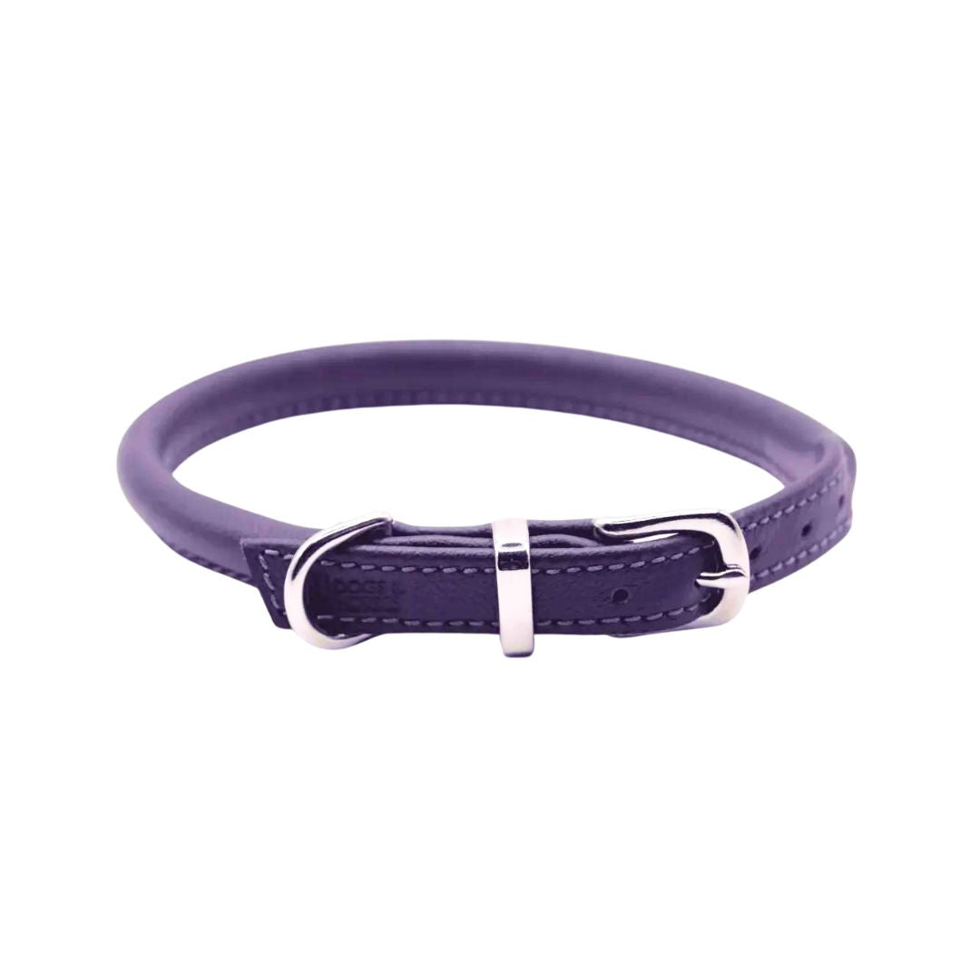 Dogs & Horses Rolled Leather Dog Collar Purple