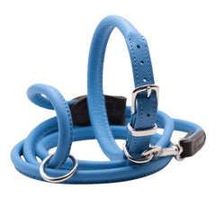 Dogs & Horses Rolled Leather Dog Collar Blue