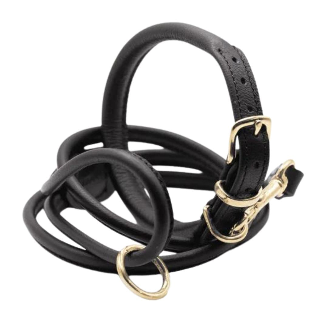 Dogs & Horses Rolled Leather Dog Collar and Lead Set Black With Brass
