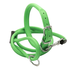 Dogs & Horses Rolled Leather Dog Collar and Lead Set Green