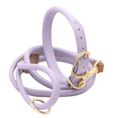 Dogs & Horses Rolled Leather Dog Collar and Lead Set Lilac