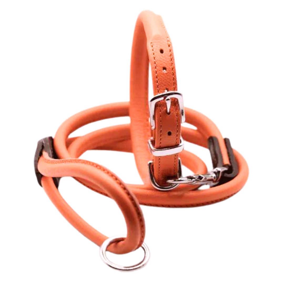 Dogs & Horses Rolled Leather Dog Collar and Lead Set Orange