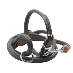 Dogs & Horses Rolled Leather Dog Collar Racing Green