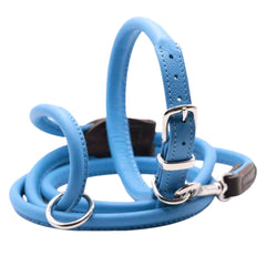 Dogs & Horses Rolled Leather Dog Collar and Lead Set Blue