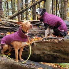 Doodlebone Reversible Puffer Dog Coat - Purple & Raspberry