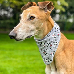 Douglas The Dotty Dog Bandana