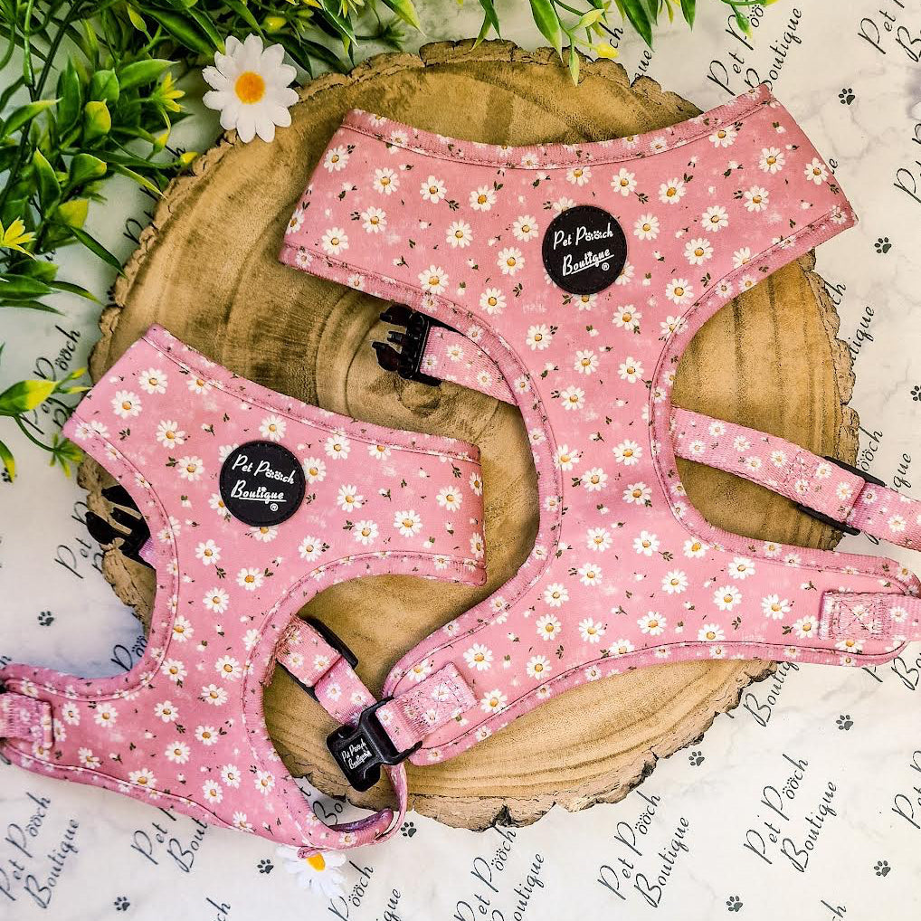 Dusky Pink Daisies Dog Harness