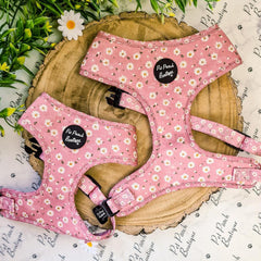 Dusky Pink Daisies Dog Harness