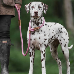 Dusky Pink Rope Dog Lead by Ruff And Tumble