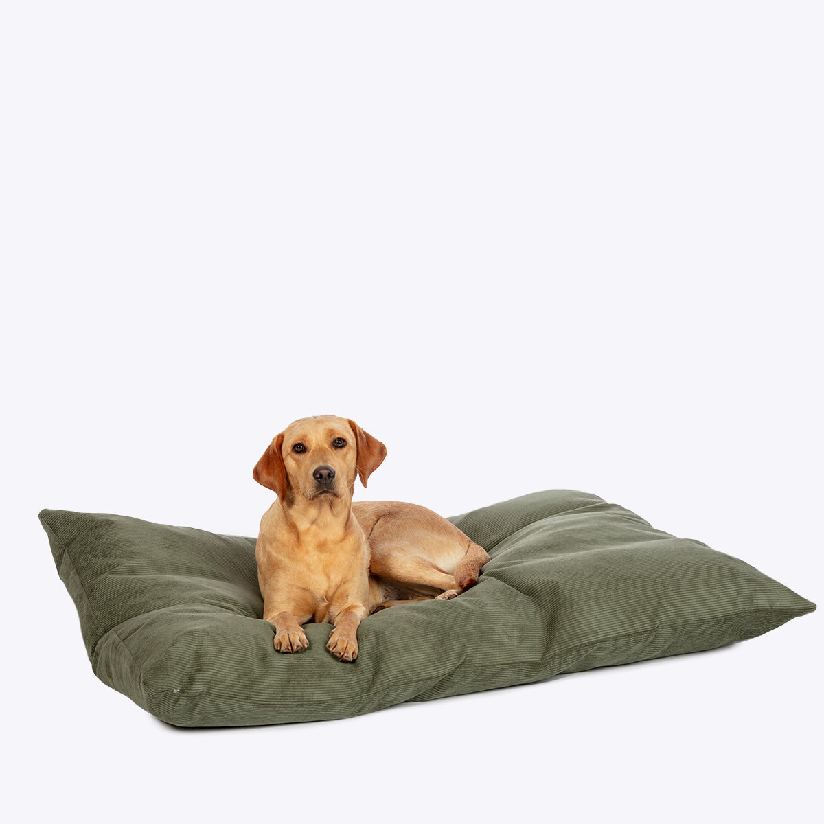 Elden Fern Deep Duvet Dog Bed by Danish Design