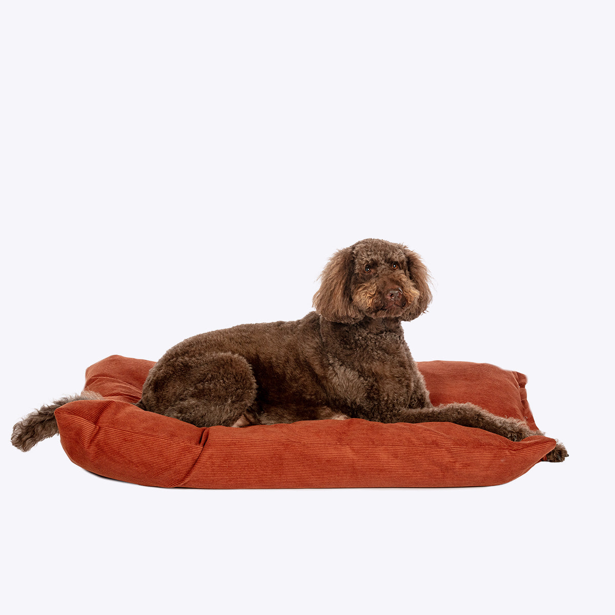 Elden Rust Deep Duvet Dog Bed by Danish Design