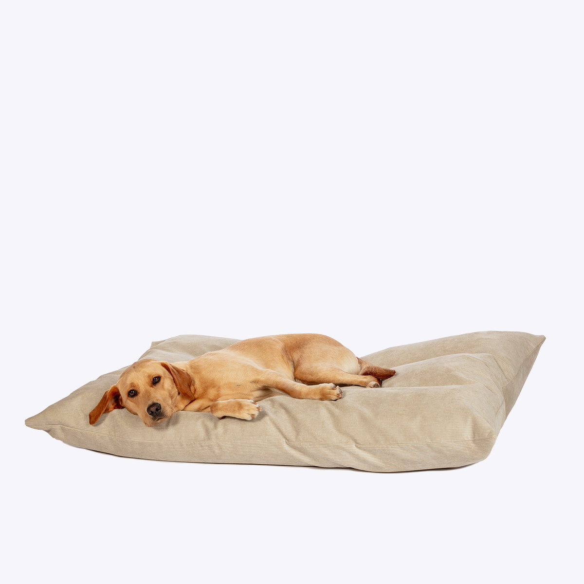 Elden Stone Deep Duvet Dog Bed by Danish Design
