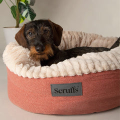 Ellen Donut Dog Bed Terracotta