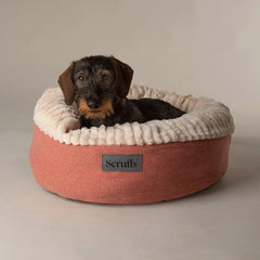 Ellen Donut Dog Bed Terracotta