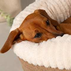 Ellen Donut Dog Bed Tan