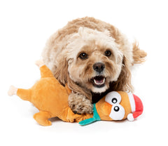 FuzzYard Monecka - The Turkey Christmas Dog Toy