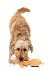 FuzzYard Veronecka The Gingerbread Christmas Dog Toy