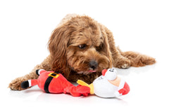 FuzzYard Saint Neckolas Christmas Dog Toy