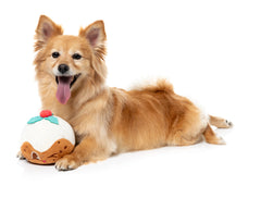 FuzzYard Hey Puddin' Christmas Dog Toy