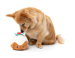 FuzzYard Hey Puddin' Christmas Dog Toy
