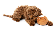 FuzzYard Hey Puddin' Christmas Dog Toy