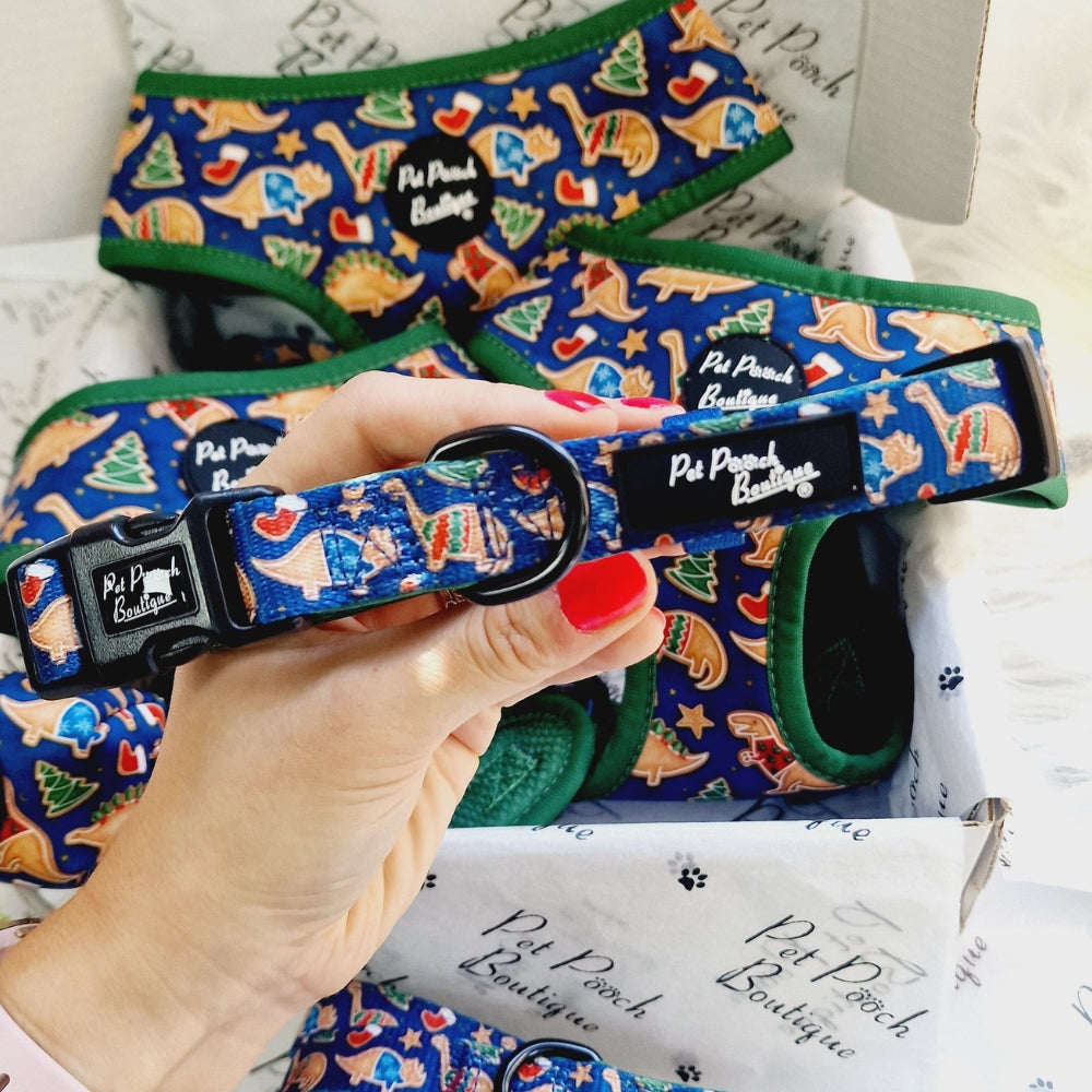 Festive Dino Rawr Biscuits Dog Collar